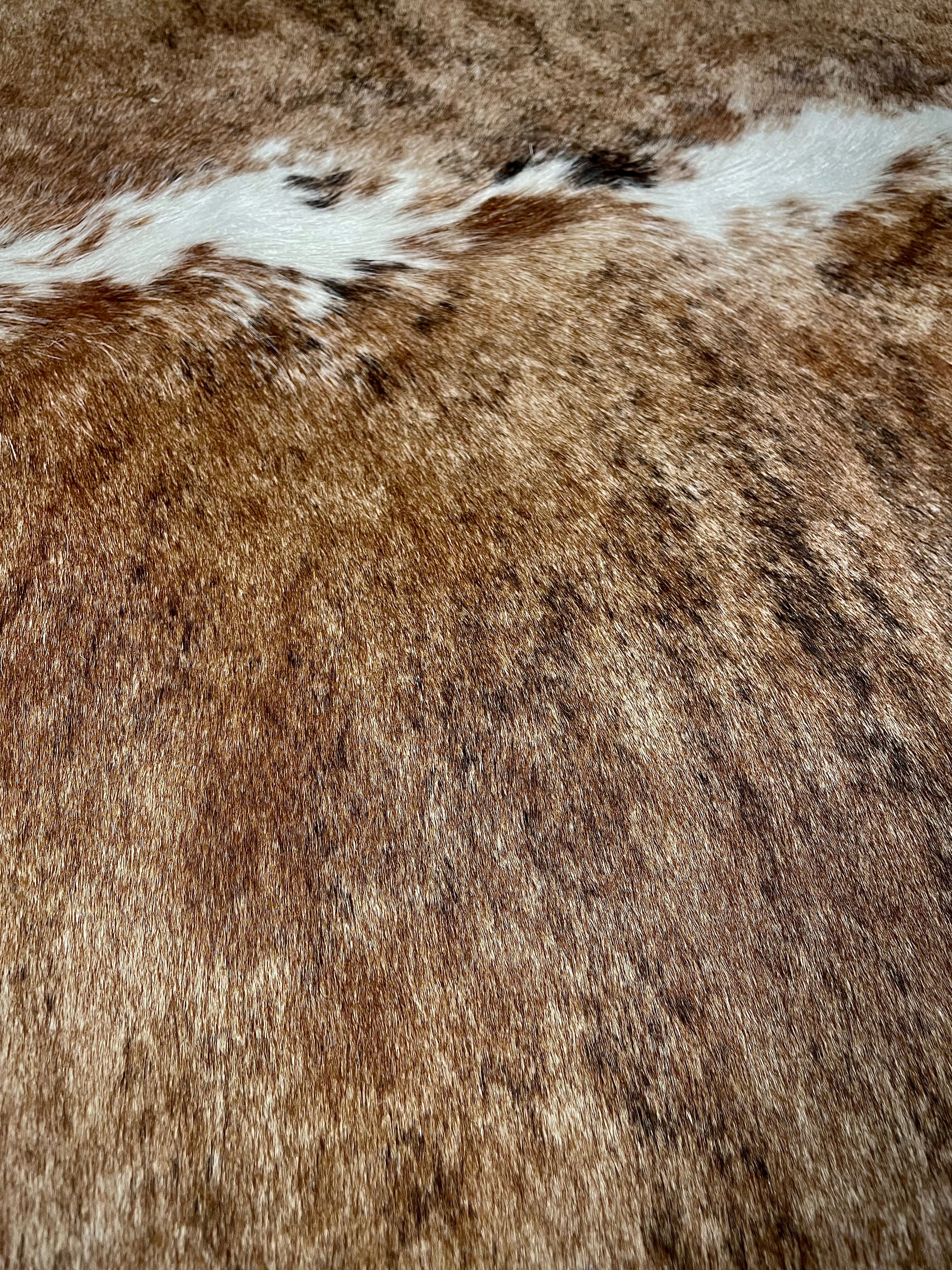Remington