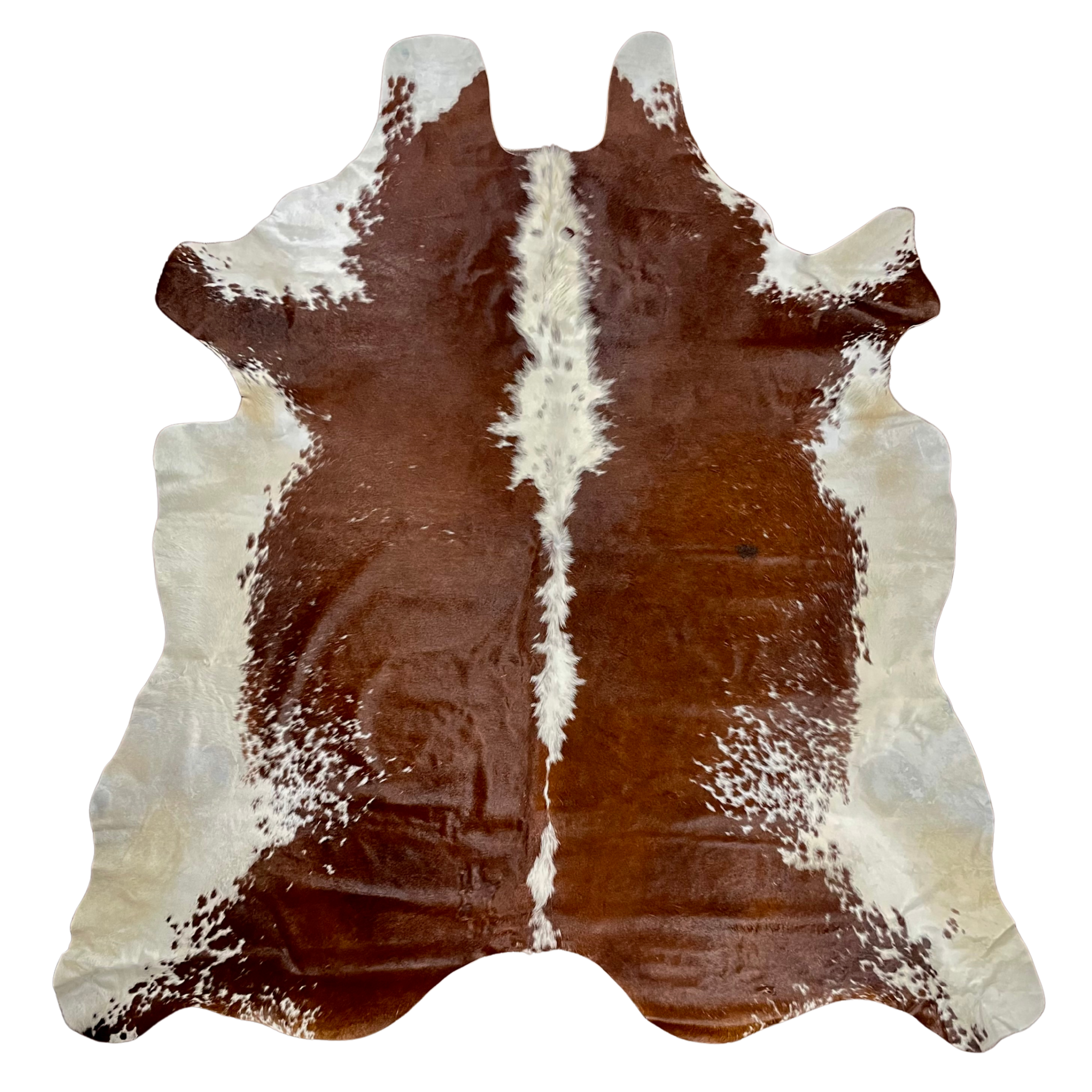 Chestnut